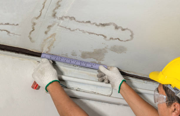 Reliable Burst Pipe Cleanup contractor in Williamsburg, KY by Water Damage Irwin